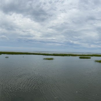 Southeast Expeditions - Raccoon Island - Rafting/Kayaking Near Me - Cape Charles, Virginia Southeast Expeditions - Raccoon Island - Rafting/Kayaking Near Me - Cape Charles, Virginia