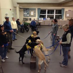 Incredible Canine Giftly Email, Text or Print, 3163 Juniper Ave