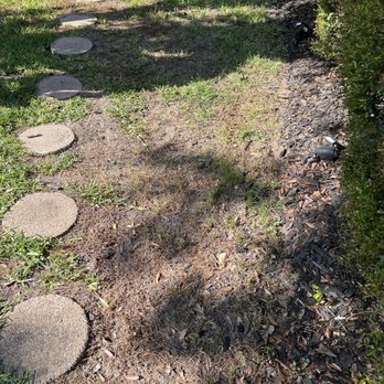 TruGreen Lawn Care - Tree Services Near Me - Houston, Texas TruGreen Lawn Care - Tree Services Near Me - Houston, Texas