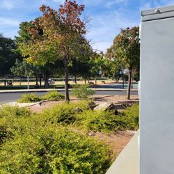 Sunridge Park - Tree lined - 11/4/23