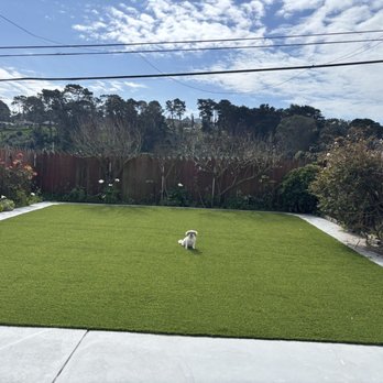 Ideal Landscape & Concrete - Before and after. We and the pup are happy! - Landscaping Near Me Ideal Landscape & Concrete - Before and after. We and the pup are happy! - Landscaping Near Me