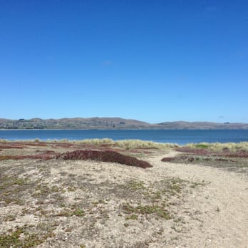 Doran Regional Park - View from the the backside of campsite 126! - Parks Near Me - Bodega Bay, California Doran Regional Park - View from the the backside of campsite 126! - Parks Near Me - Bodega Bay, California