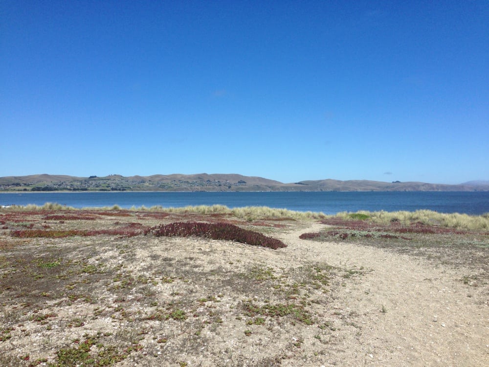 Doran Regional Park 539 Photos 111 Reviews Parks 1 Doran Beach Rd Bodega Bay Ca United States Phone Number