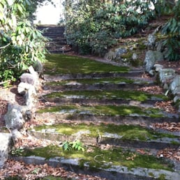 Stairway carpet o moss to nowhere. Ahhhh... Stairway carpet o moss to nowhere. Ahhhh...