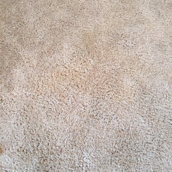 We Clean Carpet - Dos stains still on carpet after cleaning. Urine smell still extremely strong even after paying extra fee for pet service. - Carpet Cleaning Near Me We Clean Carpet - Dos stains still on carpet after cleaning. Urine smell still extremely strong even after paying extra fee for pet service. - Carpet Cleaning Near Me