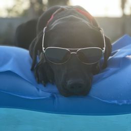 Valley is no longer afraid of the pool (: Valley is no longer afraid of the pool (:
