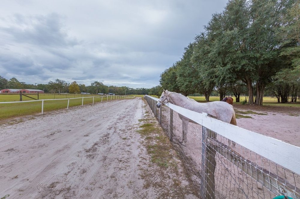 Bronze Star stables - equestrian in Lake City, FL
