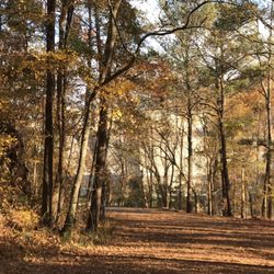 Cooper's Furnace Park - Dam in the distance