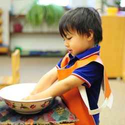 The Grove Montessori School