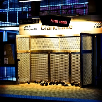 CTA - Clark/Lake - Pigeon Jihad - Train Stations Near Me - Chicago, Illinois