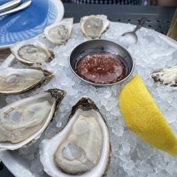 Oysters Oysters