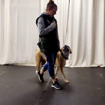 Ridgeside K9 - Pet Training Near Me - Bluemont, Virginia Ridgeside K9 - Pet Training Near Me - Bluemont, Virginia
