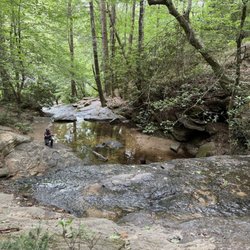 Wildcat Branch Falls