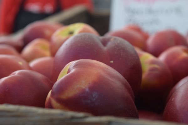 The Market On Kern by null