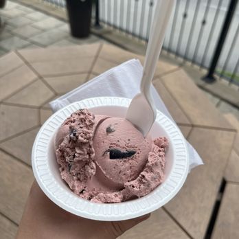 Lapp Valley Farms Ice Cream - Black Cherry Ice Cream - Ice Cream & Frozen Yogurt Near Me - Intercourse, Pennsylvania Lapp Valley Farms Ice Cream - Black Cherry Ice Cream - Ice Cream & Frozen Yogurt Near Me - Intercourse, Pennsylvania