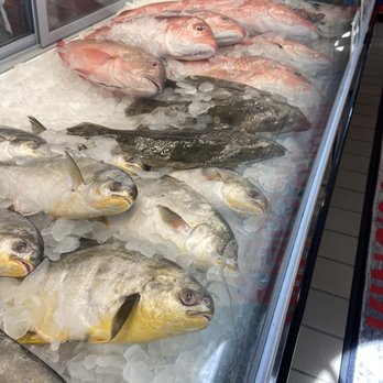 King's Seafood - Pompano, red snapper - Seafood Markets Near Me - Port Orange, Florida King's Seafood - Pompano, red snapper - Seafood Markets Near Me - Port Orange, Florida