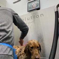 Coal Creek Car Wash - Dog wash!