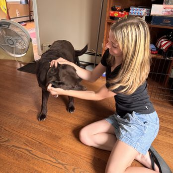 Emma's Premium Pet Sitting - Pet Sitting Near Me - Vacaville, California Emma's Premium Pet Sitting - Pet Sitting Near Me - Vacaville, California