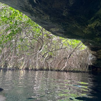 Cenote Cristalino - Lakes Near Me - Playa del Carmen, ROO Cenote Cristalino - Lakes Near Me - Playa del Carmen, ROO