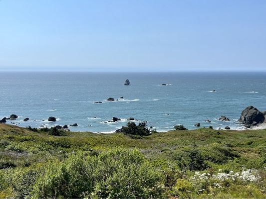 Samuel H. Boardman State Scenic Corridor by null