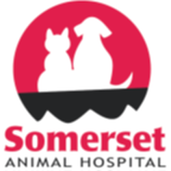 Somerset Animal Hospital
