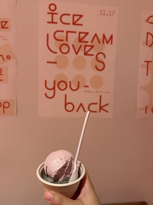 Milk & Froth Ice Cream by null