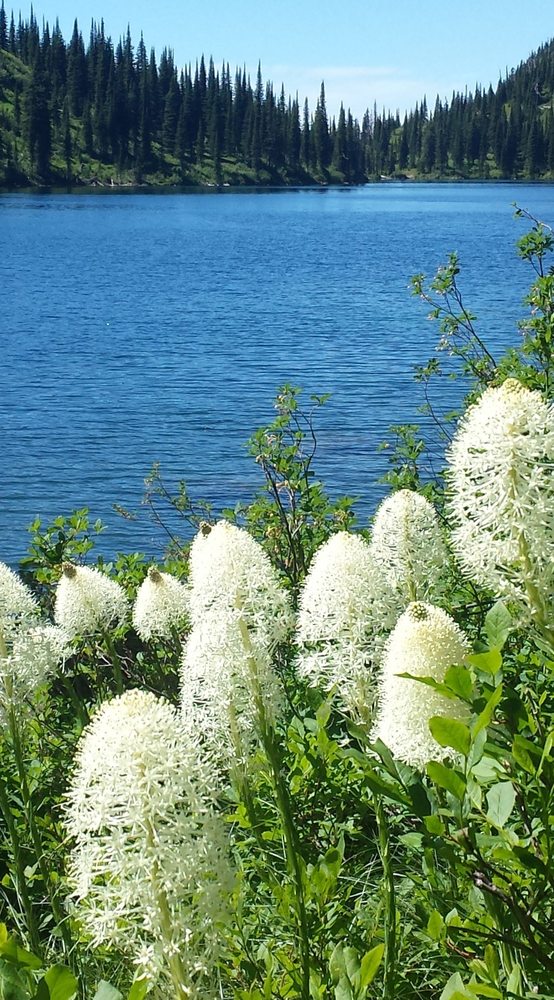 BEARGRASS PROPERTY MANAGEMENT 326 Blanchard Hollow, Whitefish