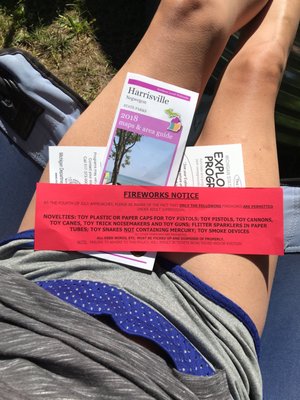 Friends of Negwegon State Park by null