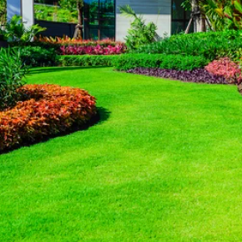 Varchetta Landscaping - a green lawn with colorful flowers - Lawn Services Near Me Varchetta Landscaping - a green lawn with colorful flowers - Lawn Services Near Me