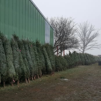 Tannenbaum Farms - Christmas Trees Near Me - Mason, Michigan