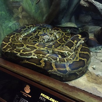Bronx Zoo - Sssssssss - Zoos Near Me - Bronx, New York