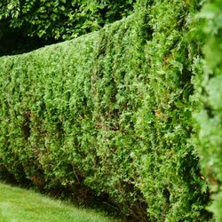 Four Seasons Property Maintenance
