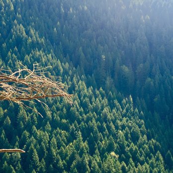 Little Si - That is a spectacular blanket of evergreens - Hiking Near Me
