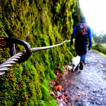Eagle Creek Trail - Hand rail for your safety but it was not that bad even in the rain - Hiking Near Me - Bonneville, Oregon