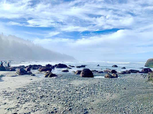 Kalaloch Campground by null