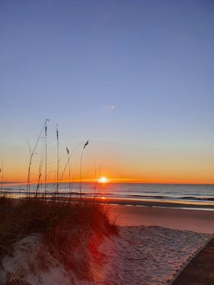 Huntington Beach State Park by null