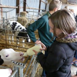 Foel Farm Park