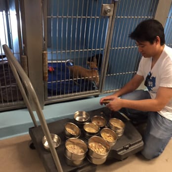 Irvine Animal Care Center - My friend dan feeding the dogs. - Animal Shelters Near Me - Irvine, California Irvine Animal Care Center - My friend dan feeding the dogs. - Animal Shelters Near Me - Irvine, California