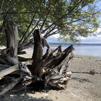 Marine View Park - Parks Near Me - Normandy Park, Washington