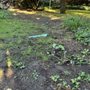 Photo of Olympic Rockery & Landscape Supply