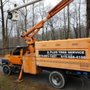 A Plus Tree Care