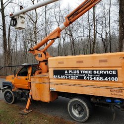 A Plus Tree Care