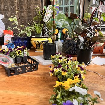 Botanica Garden Center - Nurseries & Gardening Near Me - Brooklyn, New York Botanica Garden Center - Nurseries & Gardening Near Me - Brooklyn, New York