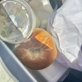 Nomad Donuts - RPB in trash can. - Donuts Near Me - San Diego, California Nomad Donuts - RPB in trash can. - Donuts Near Me - San Diego, California