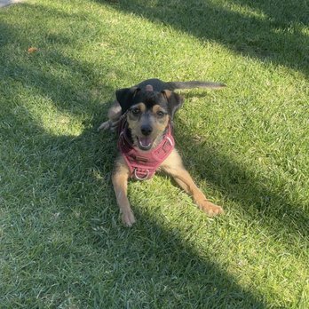 Mohnacky Animal Hospital - Carlsbad - Veterinarians Near Me - Carlsbad, California Mohnacky Animal Hospital - Carlsbad - Veterinarians Near Me - Carlsbad, California
