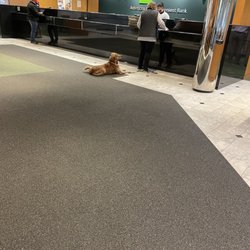 TD Bank - Such a cutie waiting for his biscuit