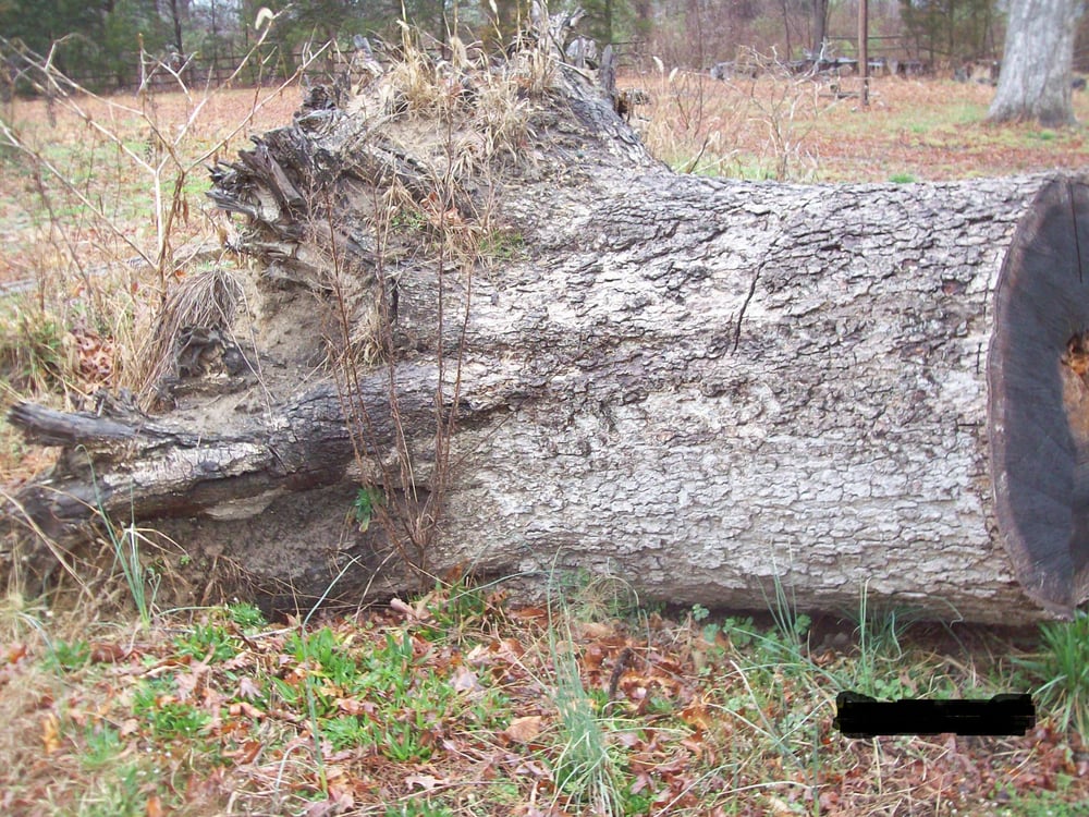 Slide of Dave's Handyman Services