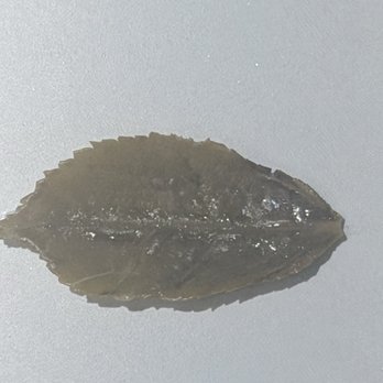 Chai Wallah - Authentic Tea leaf from the clay cup chai - Coffee & Tea Near Me - Lomita, California