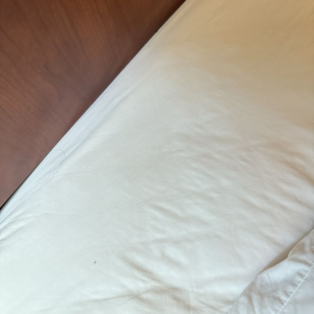 Hair on the sheets Hair on the sheets