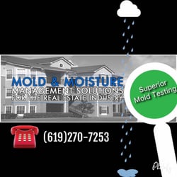 Superior Mold Testing